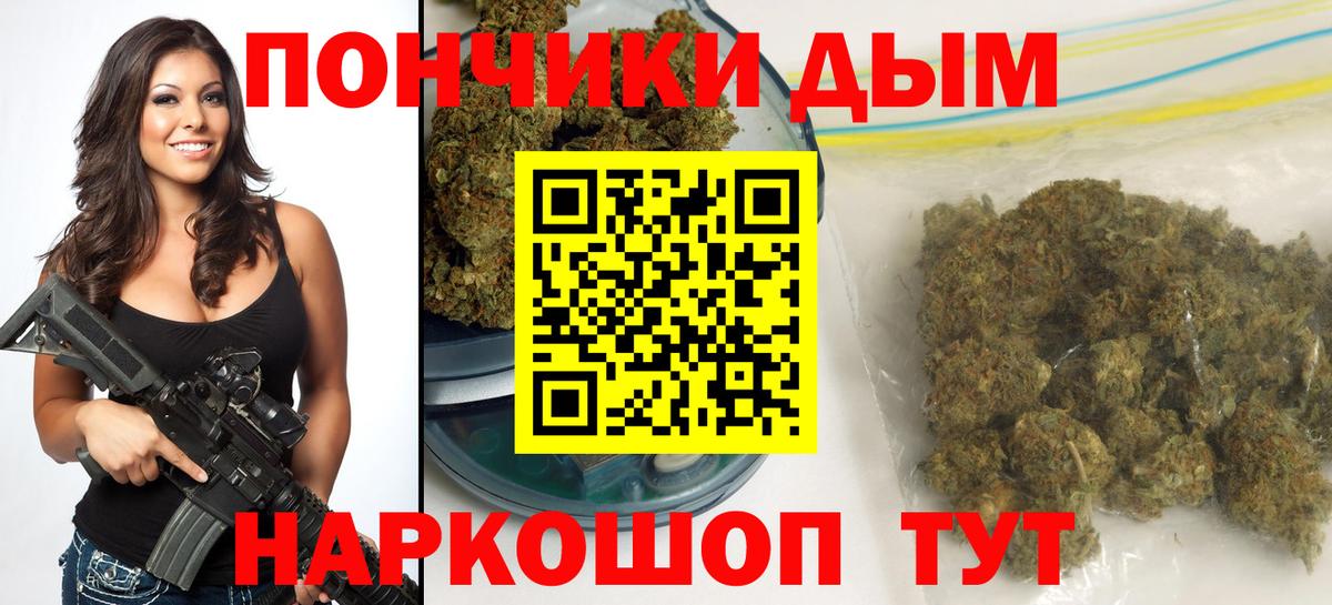 МАРИХУАНА план  Бошки Шишки план  Вход с VPN  Новодвинск  Конопля SATIVA & INDICA 